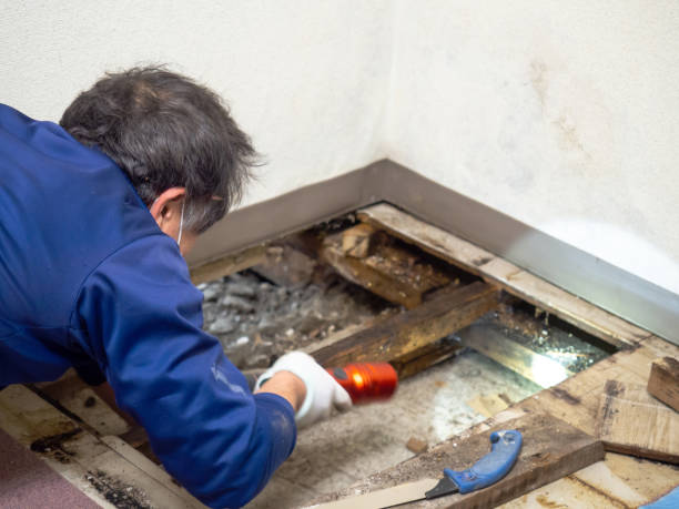 Best Water Damage Restoration  in Marshallton, PA