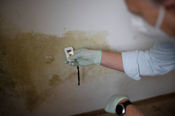 Best Mold Testing  in Marshallton, PA