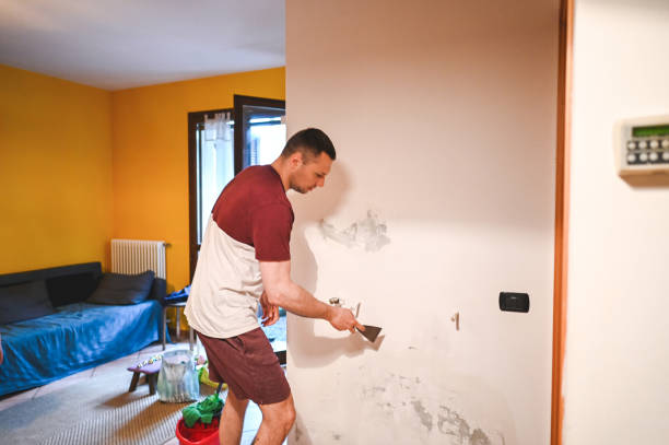 Best Residential Mold Removal  in Marshallton, PA